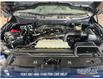 2024 Ford F-150 XLT (Stk: RC19628) in Airdrie - Image 10 of 25