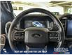 2024 Ford F-150 XLT (Stk: RC19628) in Airdrie - Image 14 of 25