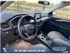 2021 Ford Escape SE Hybrid (Stk: U37452) in Red Deer - Image 6 of 7