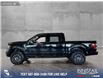 2022 Ford F-150 Tremor (Stk: P14007) in Airdrie - Image 3 of 24