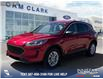 2022 Ford Escape SE (Stk: P6574) in Olds - Image 1 of 24