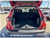 2022 Ford Escape SE (Stk: P6574) in Olds - Image 11 of 24