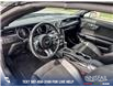 2022 Ford Mustang GT Premium (Stk: U37434) in Red Deer - Image 13 of 25