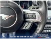 2022 Ford Mustang GT Premium (Stk: U37434) in Red Deer - Image 16 of 25
