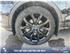 2019 Ford Escape SE (Stk: P6588) in Olds - Image 6 of 25