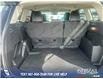 2019 Ford Escape SE (Stk: P6588) in Olds - Image 12 of 25