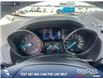2019 Ford Escape SE (Stk: P6588) in Olds - Image 15 of 25