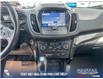 2019 Ford Escape SE (Stk: P6588) in Olds - Image 19 of 25