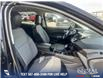 2019 Ford Escape SE (Stk: P6588) in Olds - Image 22 of 25