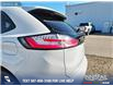 2024 Ford Edge ST Line (Stk: U37431) in Red Deer - Image 11 of 25