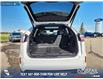 2024 Ford Edge ST Line (Stk: U37431) in Red Deer - Image 12 of 25