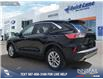 2021 Ford Escape SE Hybrid (Stk: P6593) in Olds - Image 4 of 24
