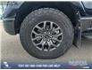 2023 Ford F-150 Tremor (Stk: P6603) in Olds - Image 6 of 25