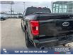 2023 Ford F-150 Tremor (Stk: P6603) in Olds - Image 11 of 25