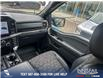 2023 Ford F-150 Tremor (Stk: P6603) in Olds - Image 25 of 25