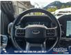 2022 Ford F-150 Lariat (Stk: P1387) in Canmore - Image 15 of 26