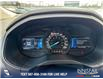 2023 Ford Edge SEL (Stk: P6587) in Olds - Image 14 of 24