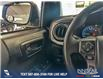 2019 Toyota Tacoma SR5 V6 (Stk: P14038) in Airdrie - Image 17 of 25