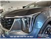 2024 Kia Sorento 2.5T X-Line (Stk: P14054) in Airdrie - Image 8 of 25