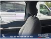 2022 Ford F-150 XLT (Stk: P1391) in Canmore - Image 18 of 25