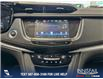 2019 Cadillac XT5 Luxury (Stk: P14081) in Airdrie - Image 19 of 25