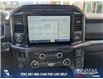 2021 Ford F-150  (Stk: P1410) in Canmore - Image 19 of 25