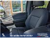 2021 Ford F-150  (Stk: P1410) in Canmore - Image 20 of 25