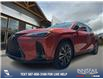 2024 Lexus UX 250h Base (Stk: P1423) in Canmore - Image 1 of 24