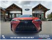 2024 Lexus UX 250h Base (Stk: P1423) in Canmore - Image 2 of 24
