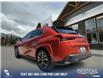 2024 Lexus UX 250h Base (Stk: P1423) in Canmore - Image 4 of 24