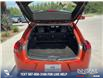 2024 Lexus UX 250h Base (Stk: P1423) in Canmore - Image 11 of 24