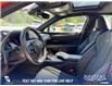 2024 Lexus UX 250h Base (Stk: P1423) in Canmore - Image 12 of 24
