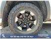 2023 RAM 1500 Rebel (Stk: P1425) in Canmore - Image 6 of 24