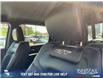2023 RAM 1500 Rebel (Stk: P1425) in Canmore - Image 19 of 24