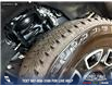 2024 Ford F-350 Platinum (Stk: P14100) in Airdrie - Image 7 of 25