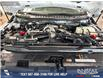 2024 Ford F-350 Platinum (Stk: P14100) in Airdrie - Image 10 of 25