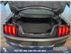 2020 Ford Mustang GT (Stk: P14111) in Airdrie - Image 12 of 25