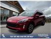 2020 Ford Escape Titanium (Stk: P1418) in Canmore - Image 1 of 25