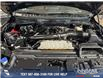2024 Ford F-150 King Ranch (Stk: P14110) in Airdrie - Image 10 of 25