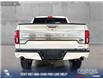 2019 Ford F-150 Limited (Stk: P14099) in Airdrie - Image 5 of 25