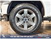 2019 Ford F-150 Limited (Stk: P14099) in Airdrie - Image 6 of 25