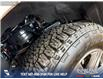 2019 Ford F-150 Limited (Stk: P14099) in Airdrie - Image 7 of 25
