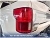 2019 Ford F-150 Limited (Stk: P14099) in Airdrie - Image 11 of 25