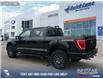 2022 Ford F-150 Tremor (Stk: P6624) in Olds - Image 4 of 25