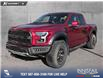 2017 Ford F-150 Raptor (Stk: P1496) in Canmore - Image 1 of 23