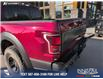 2017 Ford F-150 Raptor (Stk: P1496) in Canmore - Image 10 of 23