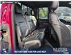 2017 Ford F-150 Raptor (Stk: P1496) in Canmore - Image 20 of 23