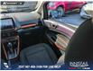 2021 Ford EcoSport SE (Stk: P1531) in Canmore - Image 24 of 24