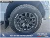 2023 Ford F-150 Tremor (Stk: P6777) in Olds - Image 6 of 25