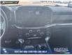 2023 Ford F-150 Tremor (Stk: P6777) in Olds - Image 19 of 25